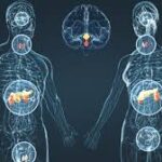 Approche fonctionnel et intégratif pour l&rsquo;équilibre hormonal